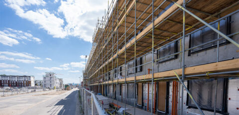 pexels-mike-van-schoonderwalt-5511097 pexels-mike-van-schoonderwalt-5511097